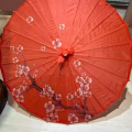 Spotlight 图片 11