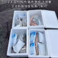中国到新加坡冰冻货空运冷链专线 图片 2