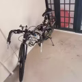 城市骑行自行车 图片 2