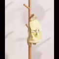 母子床 图片 3
