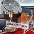 日立牌风冷无霜冰箱 图片 22