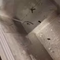 冰柜 图片 2