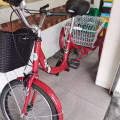 新买的三轮车 图片 3