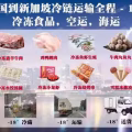 冷冻鸡肉鸭肉鹅肉运输到新加坡运输流程，双清派送 图片 1