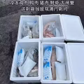 团购拼箱冷冻食品/半成品菜冷冻运输到新加坡 图片 2