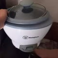 Wasting house 电饭锅 (一个人) 图片 1