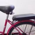 女式坤车 图片 2