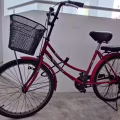 女式坤车 图片 4