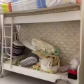 双人床上下铺，自家用，自取 图片 3