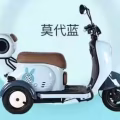 电动三轮车 PMA 图片 2