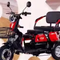 电动三轮车 PMA 图片 3
