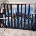 单人床 图片 1