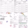 昆明鲜花如何空运运输新加坡,鲜花运输新加坡需要哪些资料 图片 3