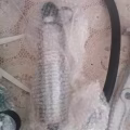 拉钩 图片 1