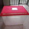 宠物箱 图片 1