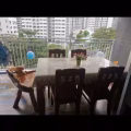 柚木时尚餐桌椅 图片 2