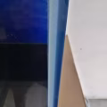 鱼缸 图片 1