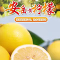 柠檬 图片 2