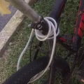 自行车 图片 3