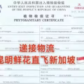 云南鲜花空运冷藏运输新加坡,新加坡鲜花清关需要什么资料 图片 2