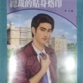 Sensation Novel - Chinese Language 图片 3