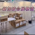 新加坡会展物流,新加坡ATA空运运输,新加坡金沙展览中心物流商 图片 4