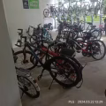 海军部二手男女自行车 图片 3