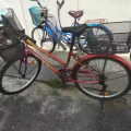 自行车 图片 2