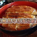 鳗鱼串冷冻海运新加坡最佳方法,鳗鱼串冷冻海运到新加坡 图片 3