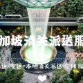Sinhapore customs clearance  图片 1
