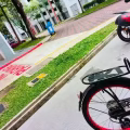 脚车 图片 5