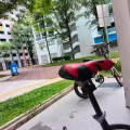 脚车 图片 7