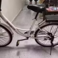 胶踏车 图片 5