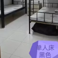 黑色单人铁床便宜处理25块钱，先驱地铁站自取，备注:不是上下铺的，只是一层的 图片 2