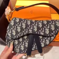 Dior迪奥mini马鞍包 图片 1