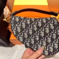 Dior迪奥mini马鞍包 图片 2
