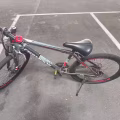 三巴旺，自行车30自取 图片 1