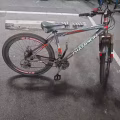 三巴旺，自行车30自取 图片 4