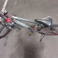 三巴旺，自行车30自取 图片 5