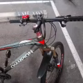 三巴旺，自行车30自取 图片 7