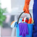 House Cleaning 家庭卫生打扫 图片 2