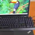 9成新 thinkpadp15 16g显卡 图片 2