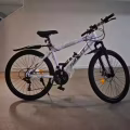 全新自行车。便宜处理 图片 1
