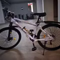 全新自行车。便宜处理 图片 2