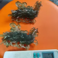 玉凤凰一对 图片 1