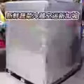 云南生鲜蔬菜菌菇冷藏空运新加坡全程门到门 图片 1