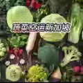 云南生鲜蔬菜菌菇冷藏空运新加坡全程门到门 图片 3