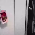 柜子 图片 2