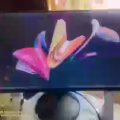 显示器 图片 1