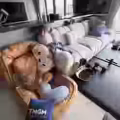 整体打包价 图片 1